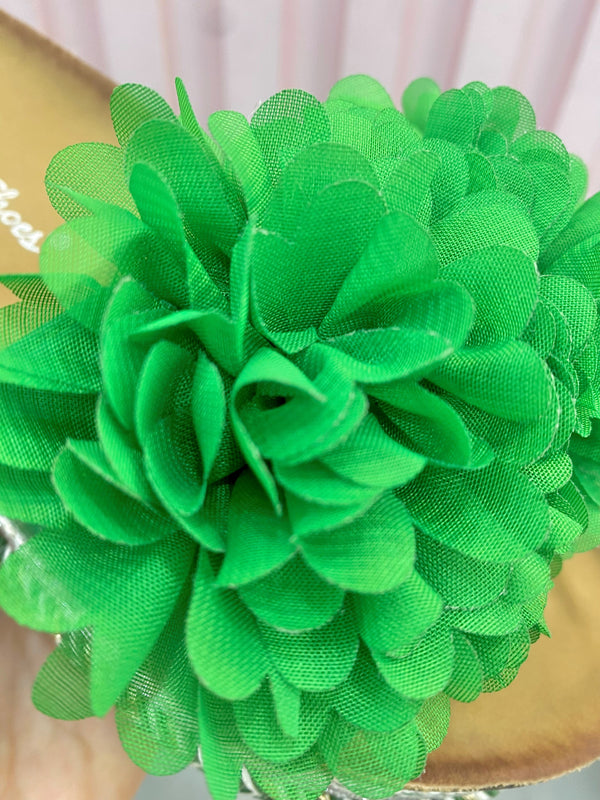 Ariel - Ciabatta Verde